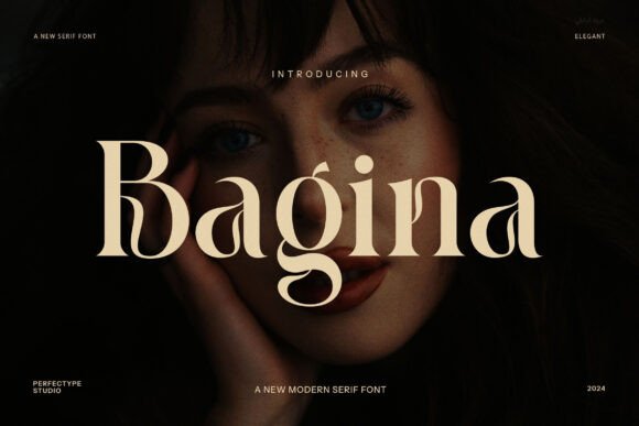 Bagina Serif Typeface for Modern Web Design