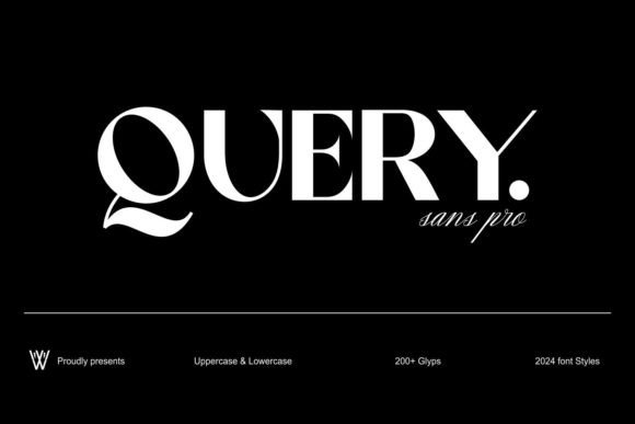 Query: The Dynamic Sans Serif Font for Modern Campaigns